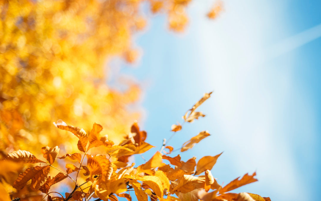 Der Herbst ist gekommen