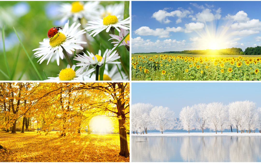 Wohlbefinden und Gesundheit in allen 4 Jahreszeiten