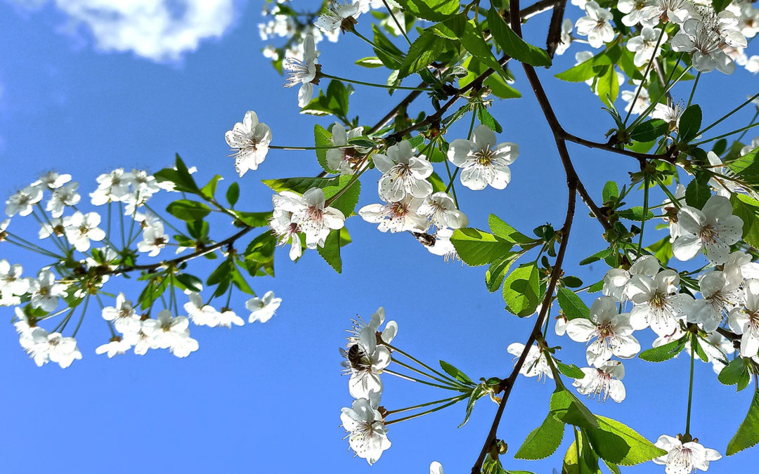 Mein Wohlfühljahr 2022